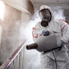 dezynfekcja zwalczanie szkodników